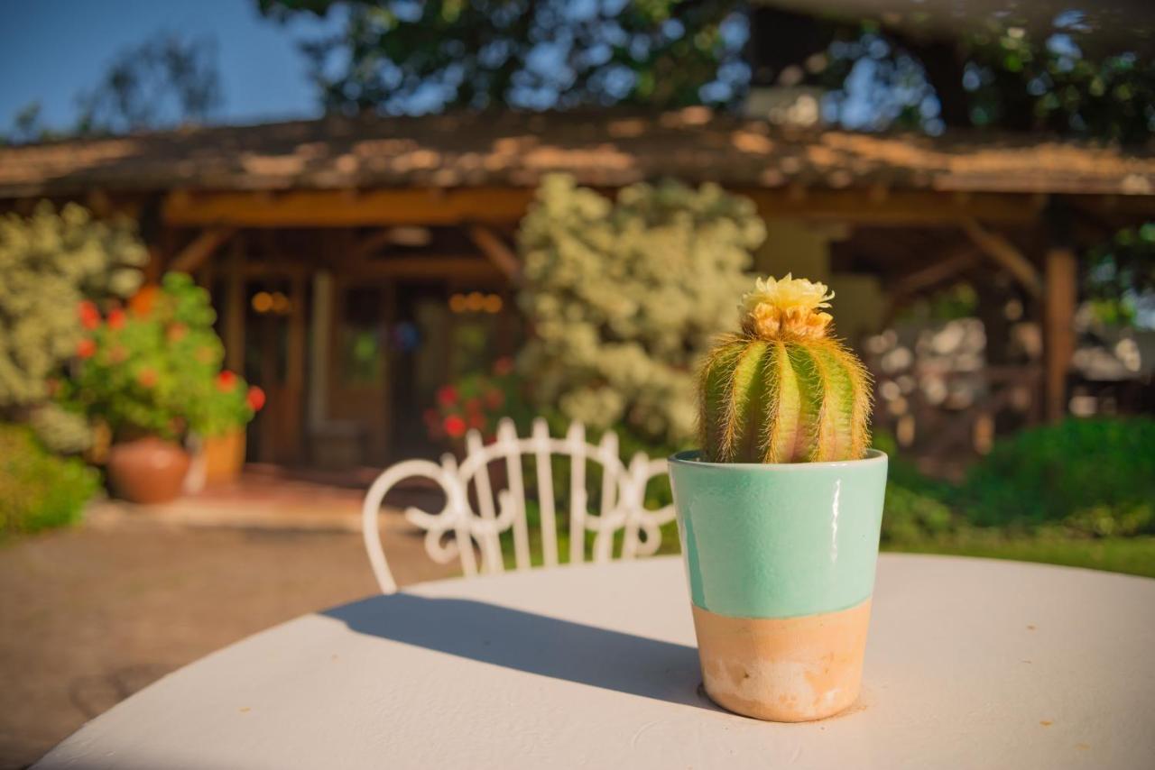 Casa De Coria Bed and Breakfast Chacras de Coria Εξωτερικό φωτογραφία